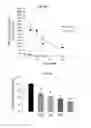 Fig. 08 - Non-selective kinase inhibitors
