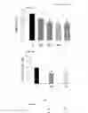 Fig. 09 - Non-selective kinase inhibitors