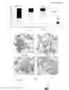 Fig. 13 - Non-selective kinase inhibitors