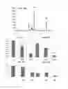 Fig. 22 - Non-selective kinase inhibitors