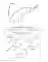 Fig. 26 - Non-selective kinase inhibitors