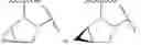 Fig. 407 - Antiviral compounds