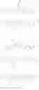 Fig. 558 - Antiviral compounds
