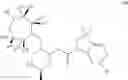 Fig. 10 - Bicyclic heterocycle compounds and their uses in therapy