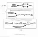 Fig. 02 - COMPOUNDS AND THERAPEUTIC USES THEREOF