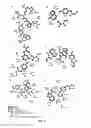 Fig. 05 - Quorum sensing inhibitors
