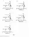 Fig. 07 - Quorum sensing inhibitors