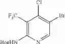 Fig. 33 - 2-aminopyridine compounds