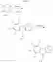 Fig. 21 - INDOLE AND INDOLINE DERIVATIVES AND METHODS OF USE THEREOF