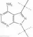 Fig. 07 - BTK inhibitors