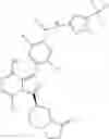 Fig. 305 - Substituted benzamides and substituted pyridinecarboxamides as Btk inhibitors