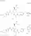 Fig. 27 - METHOD FOR PRODUCING (1S,4S,5S)-4-BROMO-6-OXABICYCLO[3.2.1]OCTAN-7-ONE