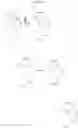 Fig. 19 - Triazine derivatives