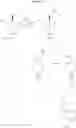 Fig. 20 - Triazine derivatives