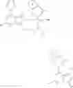 Fig. 44 - Triazine derivatives