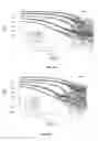 Fig. 07 - Gold nanoparticles and methods of making and using gold nanoparticles