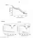 Fig. 13 - Gold nanoparticles and methods of making and using gold nanoparticles