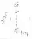 Fig. 03 - Functionalization and purification of molecules by reversible group exchange