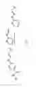 Fig. 06 - Functionalization and purification of molecules by reversible group exchange