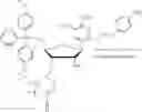Fig. 10 - Protecting groups for “Z nucleotide” and methods thereof