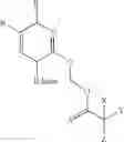 Fig. 12 - Protecting groups for “Z nucleotide” and methods thereof