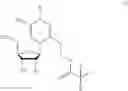 Fig. 15 - Protecting groups for “Z nucleotide” and methods thereof