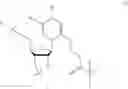 Fig. 26 - Protecting groups for “Z nucleotide” and methods thereof