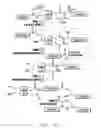 Fig. 06 - Intein mediated purification of protein