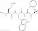 Fig. 46 - Compounds for enzyme inhibition