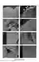 Fig. 06 - Endometriosis cell targeting peptide and uses thereof