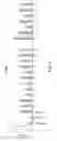 Fig. 17 - Compositions for labeling nerves and methods of use