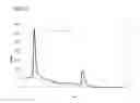 Fig. 06 - Antibody-binding peptide