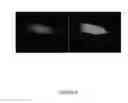 Fig. 07 - Monomeric and bright infrared fluorescent proteins