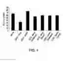 Fig. 02 - STABILIZED STAT3 DECOY OLIGONUCLEOTIDES AND USES THEREFORE