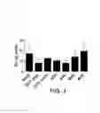 Fig. 04 - STABILIZED STAT3 DECOY OLIGONUCLEOTIDES AND USES THEREFORE