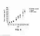 Fig. 10 - STABILIZED STAT3 DECOY OLIGONUCLEOTIDES AND USES THEREFORE