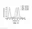 Fig. 13 - STABILIZED STAT3 DECOY OLIGONUCLEOTIDES AND USES THEREFORE