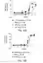 Fig. 14 - STABILIZED STAT3 DECOY OLIGONUCLEOTIDES AND USES THEREFORE