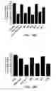 Fig. 15 - STABILIZED STAT3 DECOY OLIGONUCLEOTIDES AND USES THEREFORE