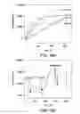 Fig. 20 - STABILIZED STAT3 DECOY OLIGONUCLEOTIDES AND USES THEREFORE