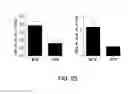 Fig. 25 - STABILIZED STAT3 DECOY OLIGONUCLEOTIDES AND USES THEREFORE