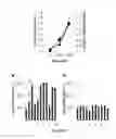 Fig. 16 - Synthetic transcription factor and uses thereof