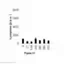 Fig. 17 - Synthetic transcription factor and uses thereof