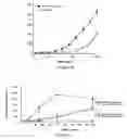 Fig. 03 - Positive modulator of bone morphogenic protein-2