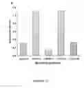 Fig. 12 - Positive modulator of bone morphogenic protein-2