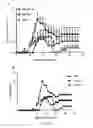 Fig. 07 - Myelin oligodendrocyte glycoprotein peptides