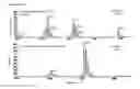 Fig. 09 - Non-canonical insulins and their uses