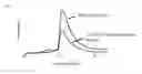 Fig. 10 - Non-canonical insulins and their uses