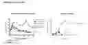 Fig. 19 - Humanized pertussis antibodies and uses thereof