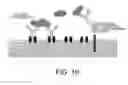 Fig. 11 - ANTIGEN-BINDING MOLECULE FOR ELIMINATING AGGREGATED ANTIGENS